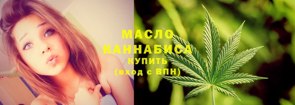 спиды Богородицк