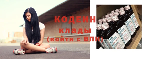 спиды Богородицк