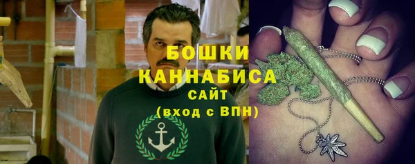 спиды Богородицк