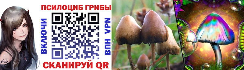 Псилоцибиновые грибы мицелий  Дагестанские Огни 